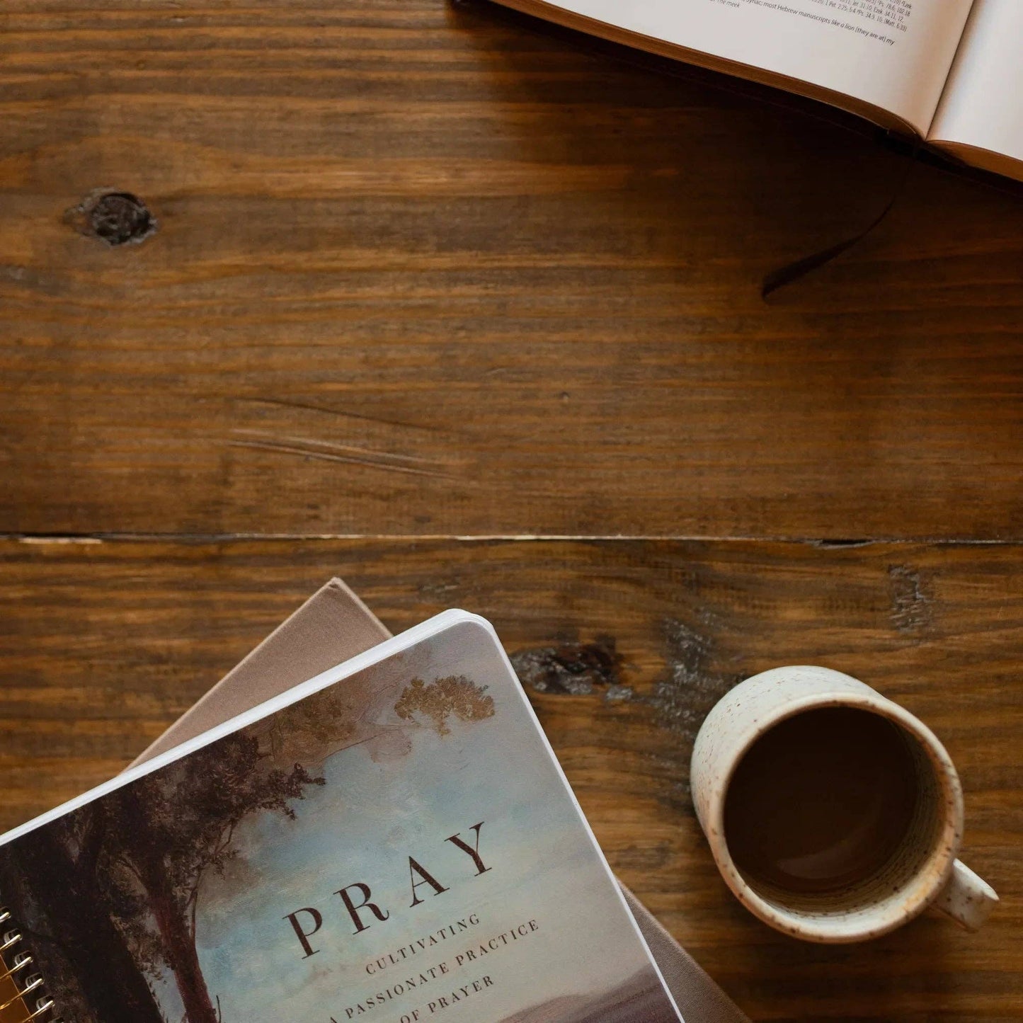 Pray | Cultivating a Passionate Practice of Prayer – Spiral Bible Study - 926 West