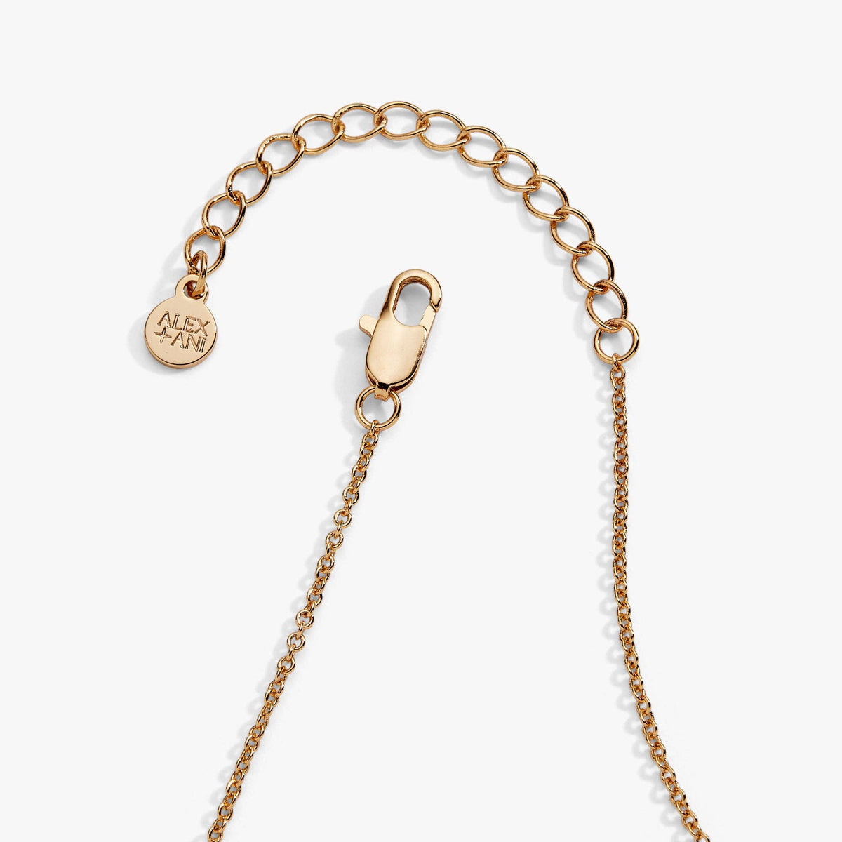 Alex & Ani Firefly Lantern Necklace