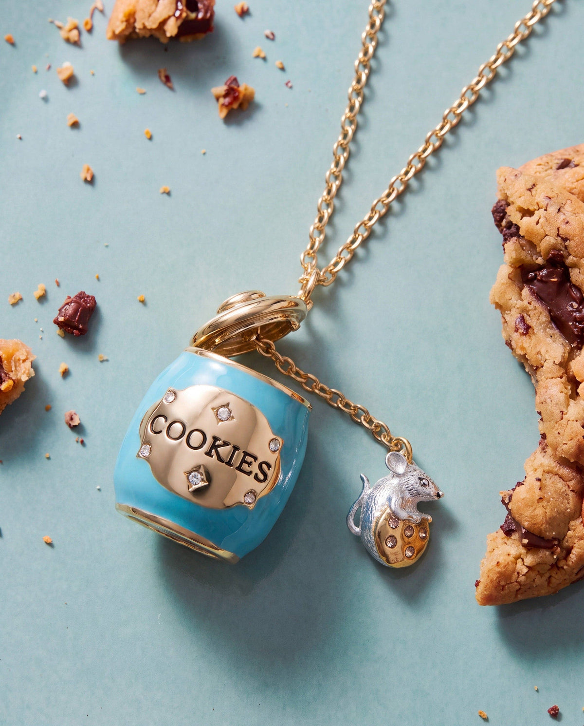 Alex & Ani Cookie Jar Locket Necklace