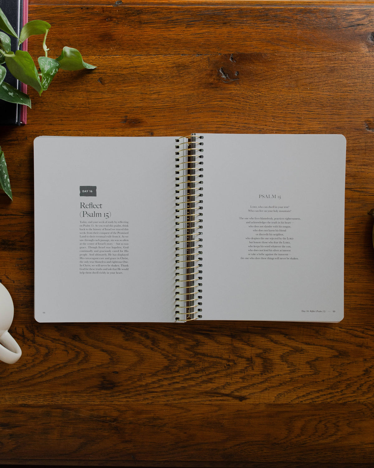 The Daily Grace Clinging to the Cross | Lent Bible Study