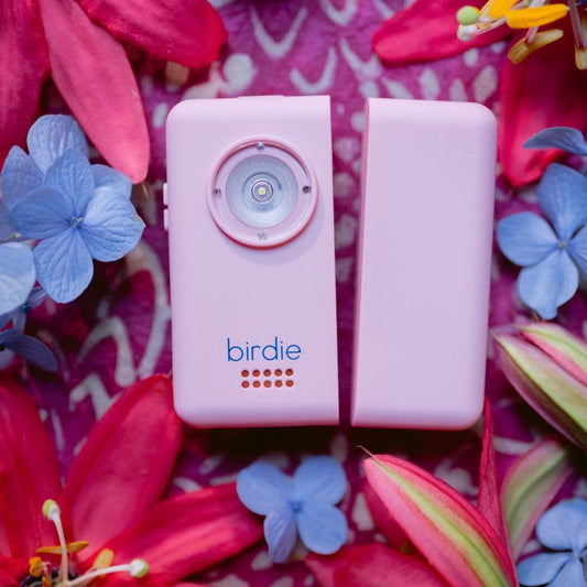 Birdie Box Portable Door Alarm for Safety - 926 West