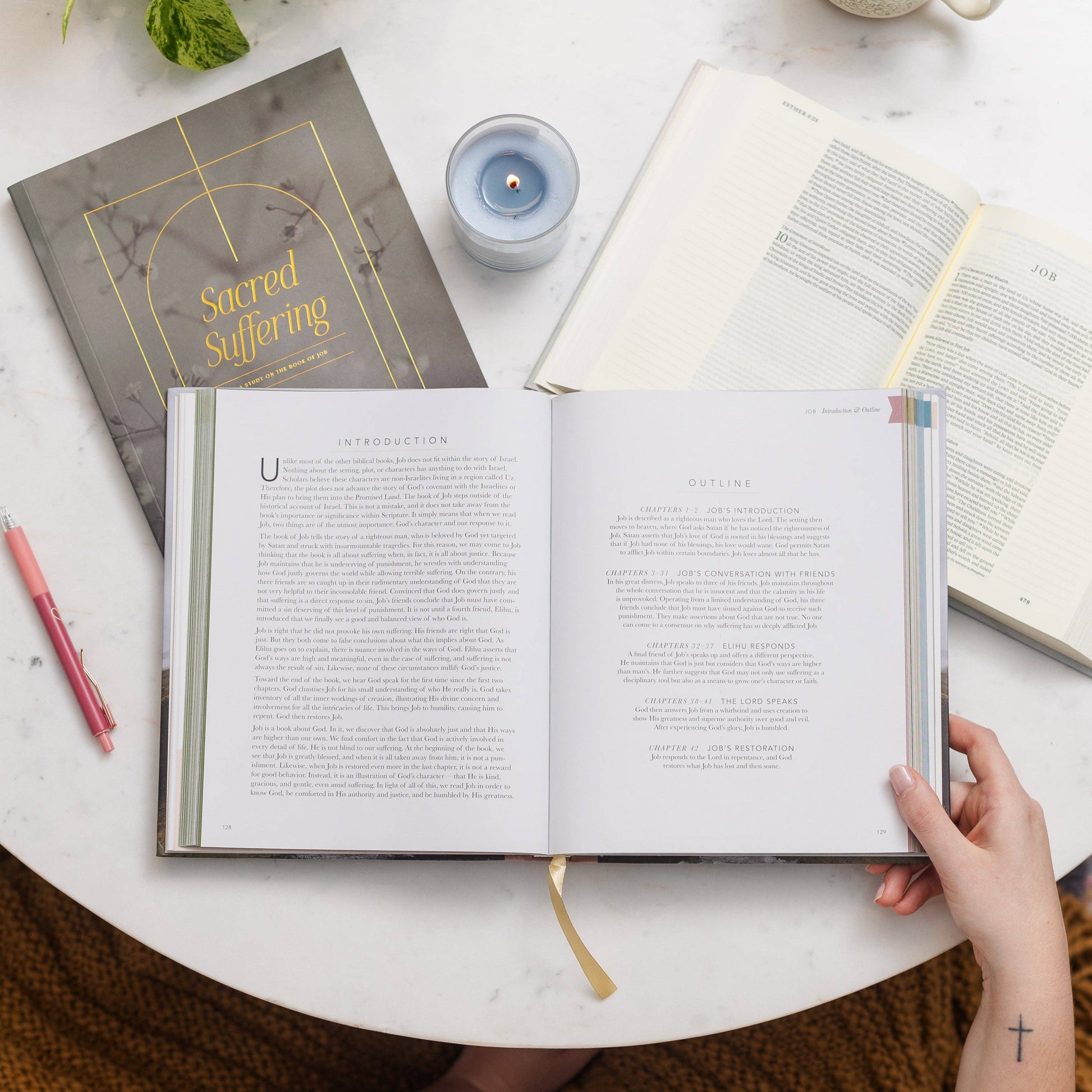 The Bible Handbook | A Book-by-Book Guide to the Entire Bible - 926 West