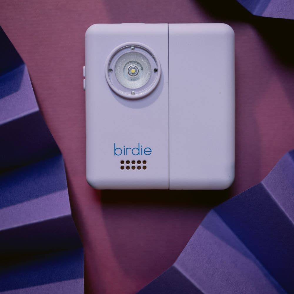 Birdie Box Portable Door Alarm for Safety - 926 West