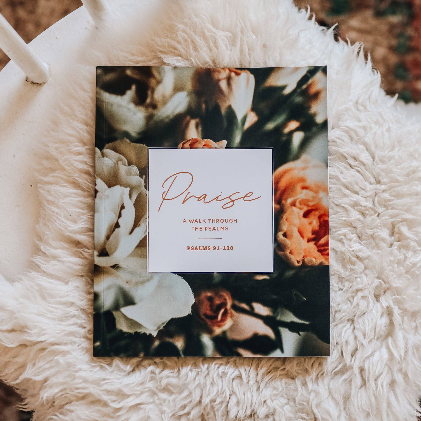 Praise | A 6-Week Bible Study Through Psalms 91–120 - 926 West