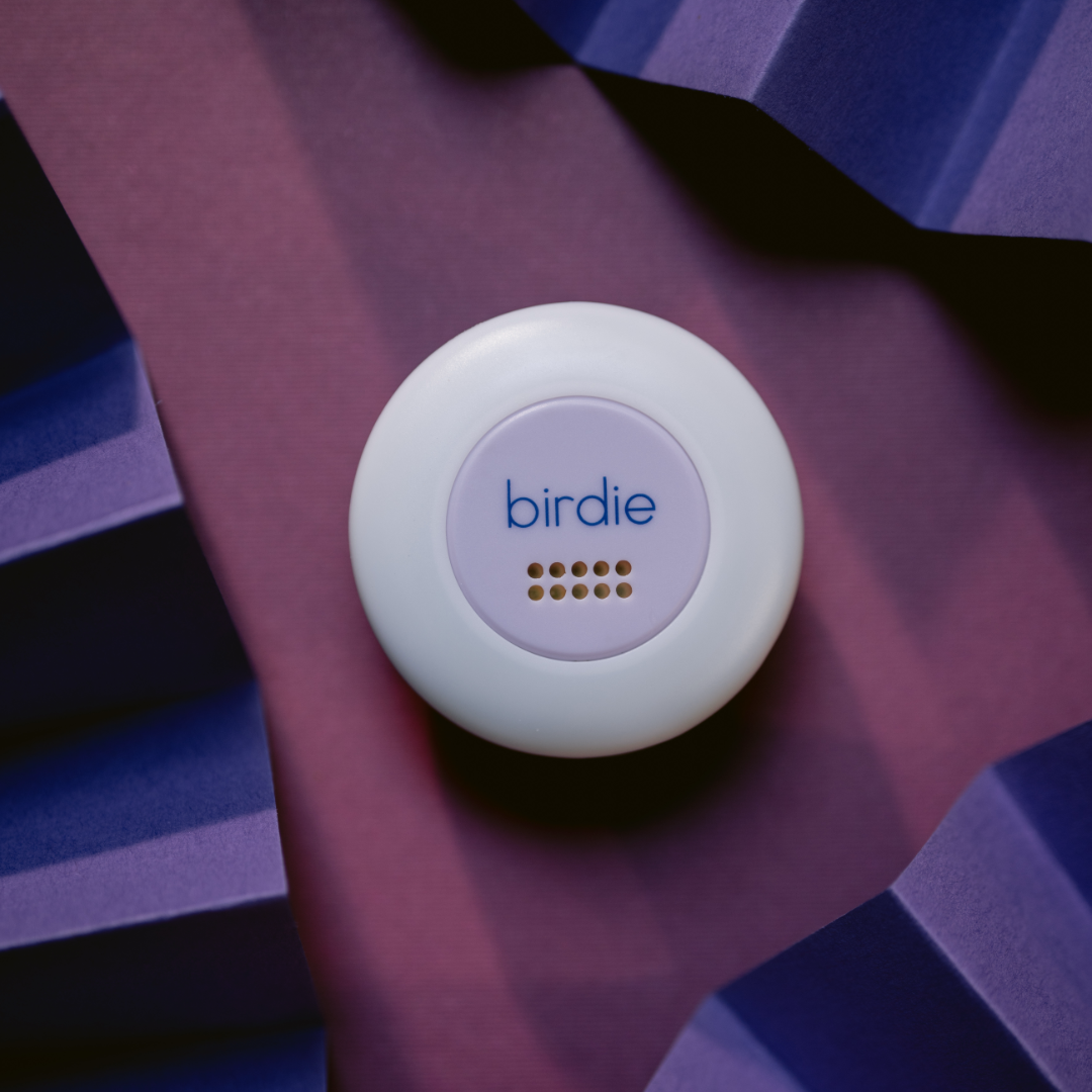 Birdie Disc Portable Clip-on Personal Safety - 926 West