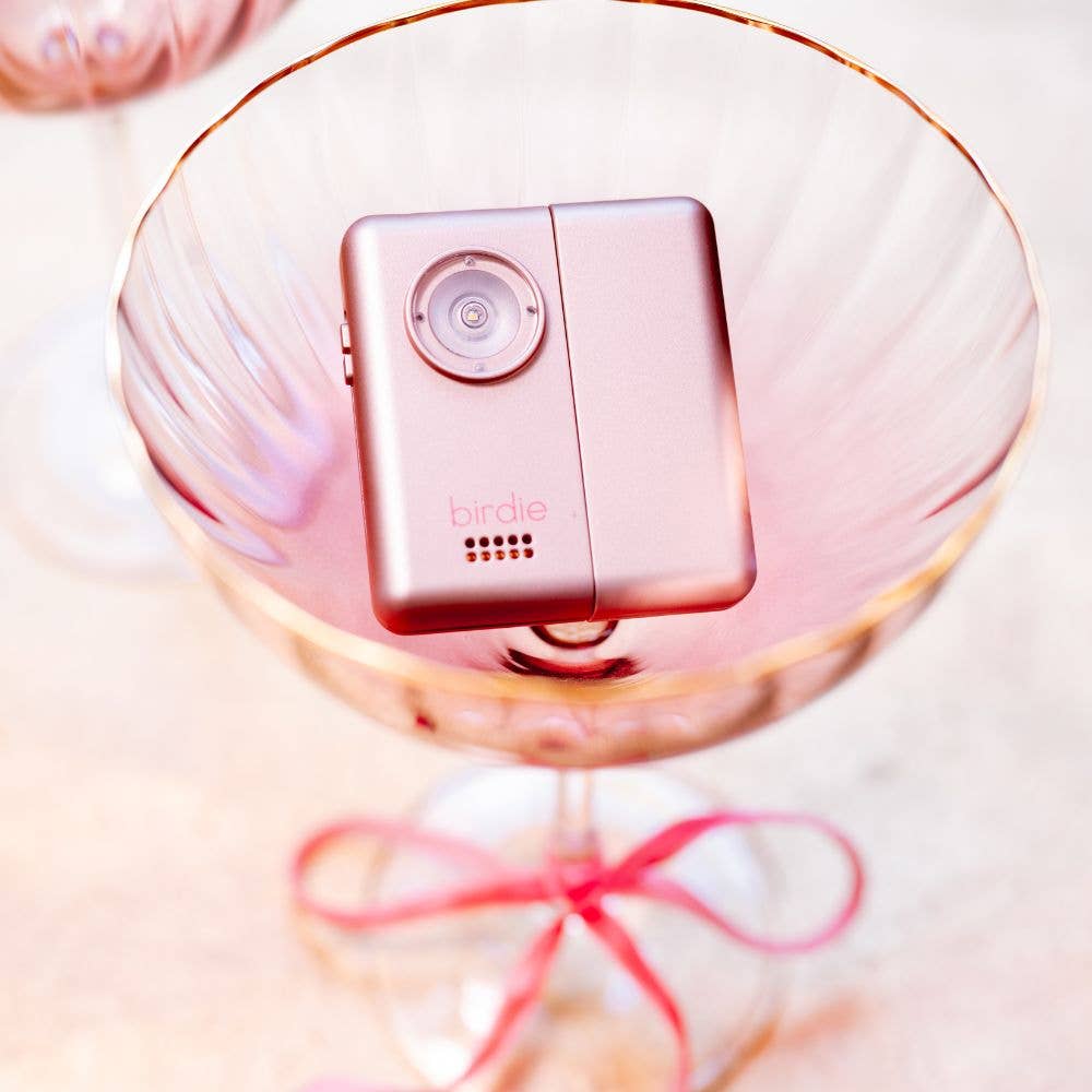Birdie Box Portable Door Alarm for Safety - 926 West