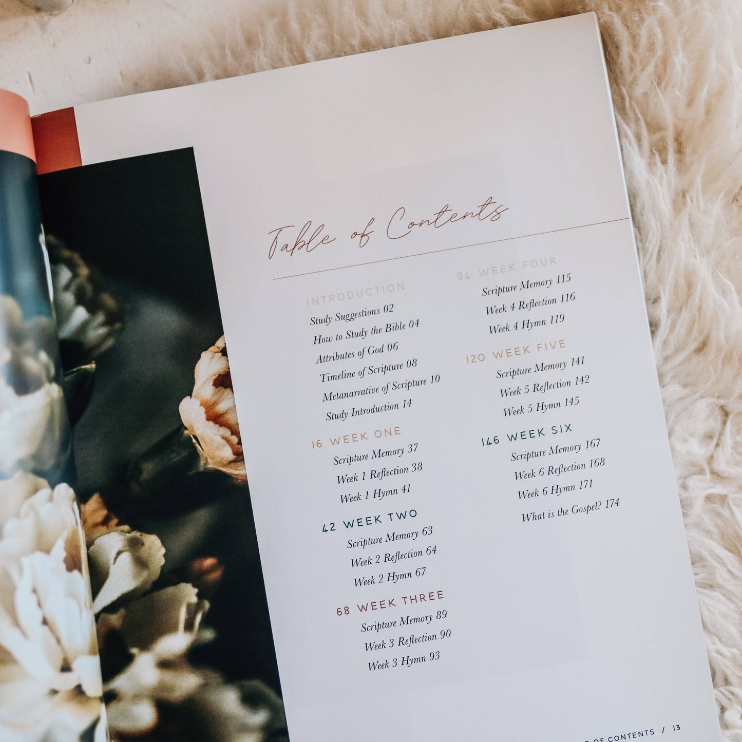 Praise | A 6-Week Bible Study Through Psalms 91–120 - 926 West