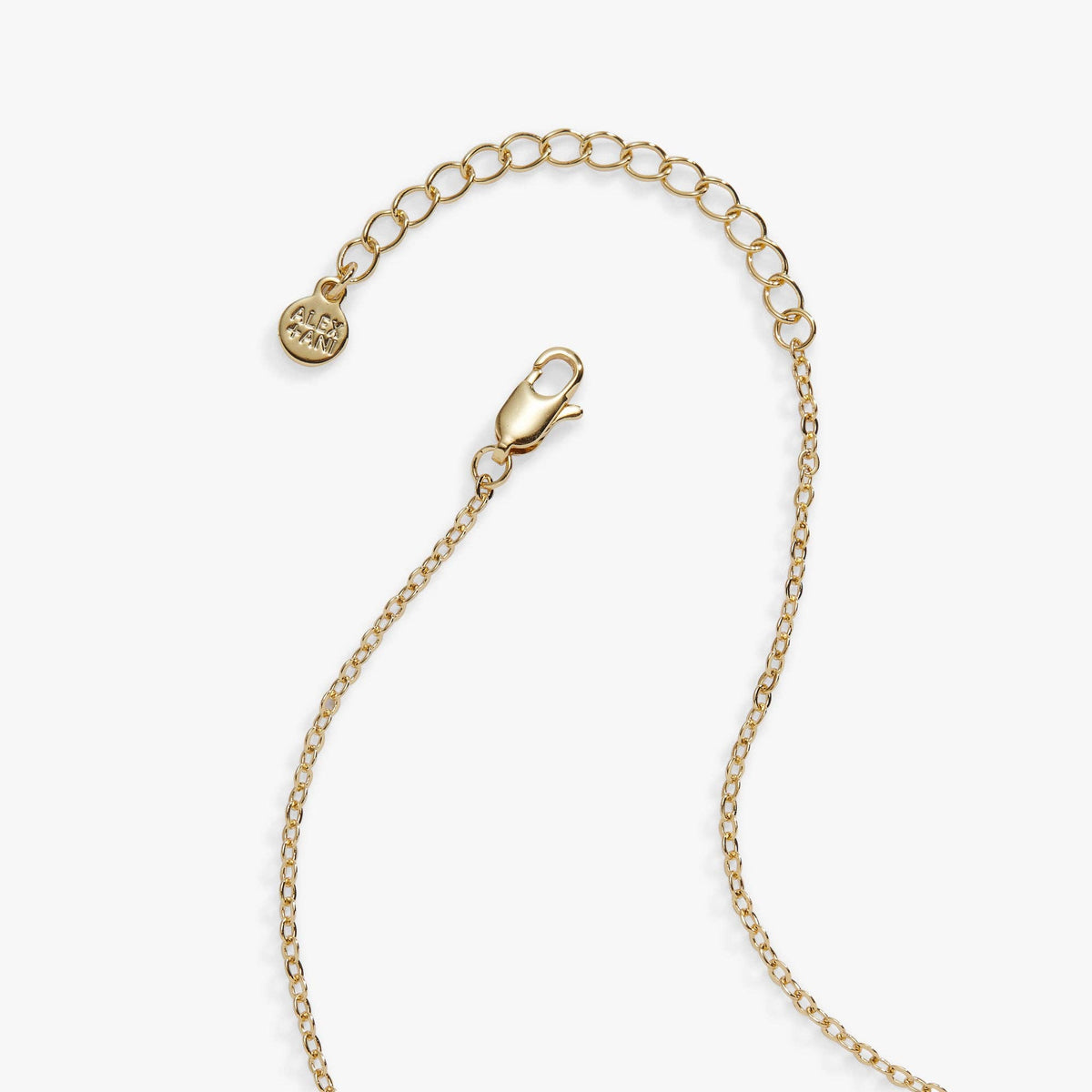 Alex & Ani Cookie Jar Locket Necklace