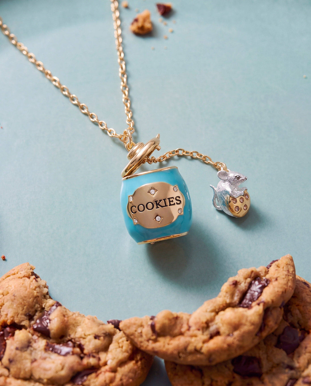 Alex & Ani Cookie Jar Locket Necklace