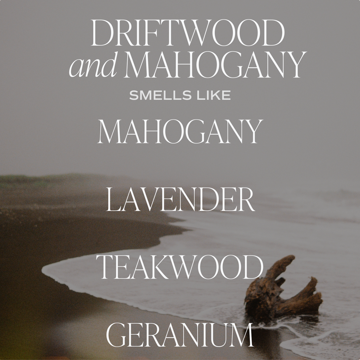 Driftwood and Mahogany 11 oz Soy Candle - Home Decor & Gifts Sweet Water Decor