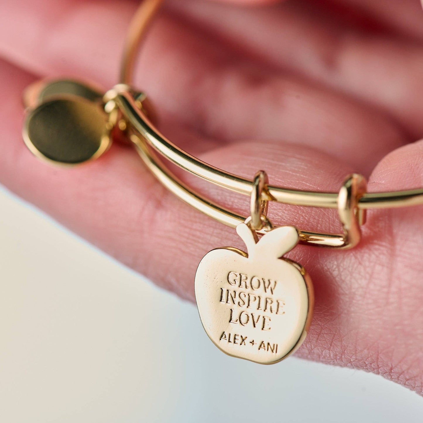 ALEX + ANI- Teacher 'Grow, Inspire, Love' Apple Charm Bangle