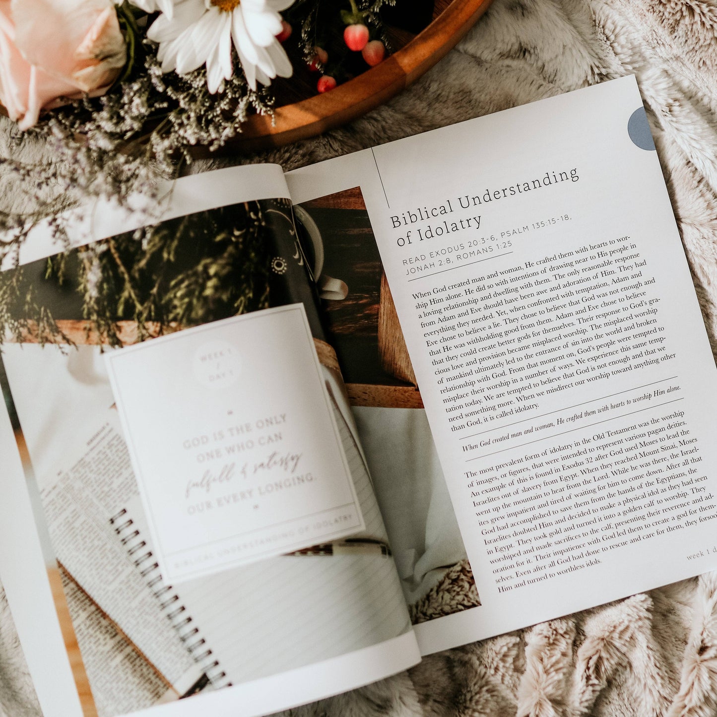 More Than Anything | 5-Week Bible Study on Idolatry - 926 West