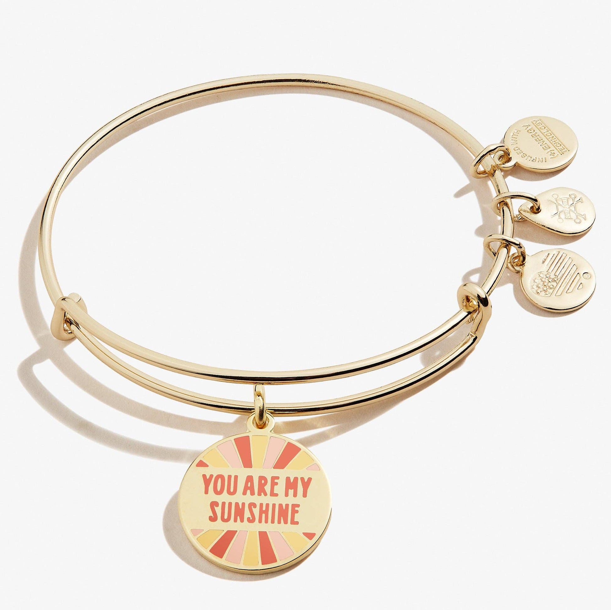 Alex + Ani- ‘You Are My Sunshine' Charm Bangle - 926 West