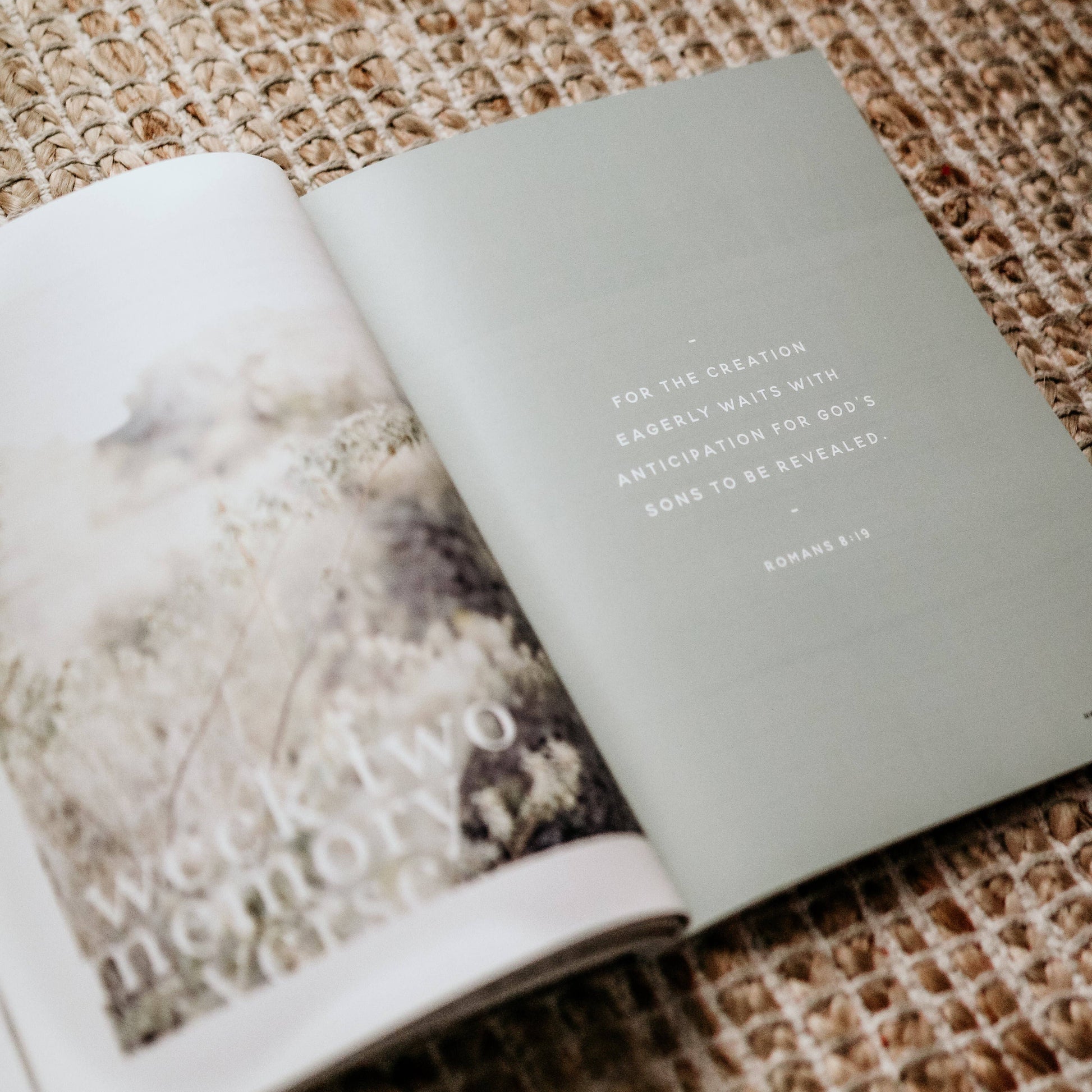 Never Alone | Depression Study The Daily Grace Co