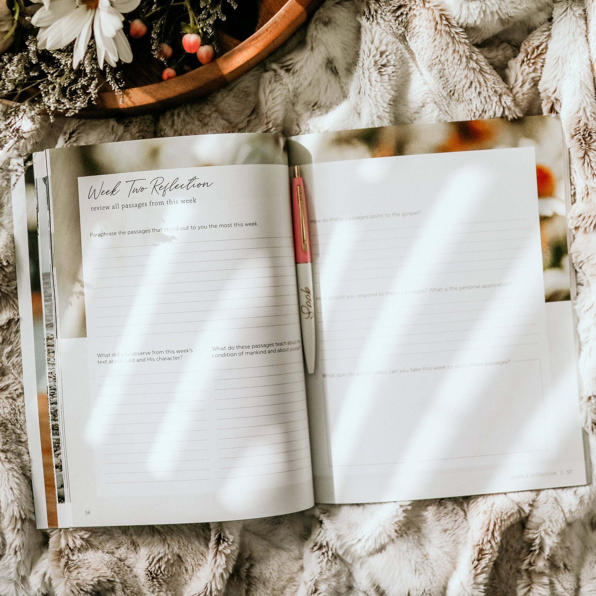 More Than Anything | 5-Week Bible Study on Idolatry - 926 West
