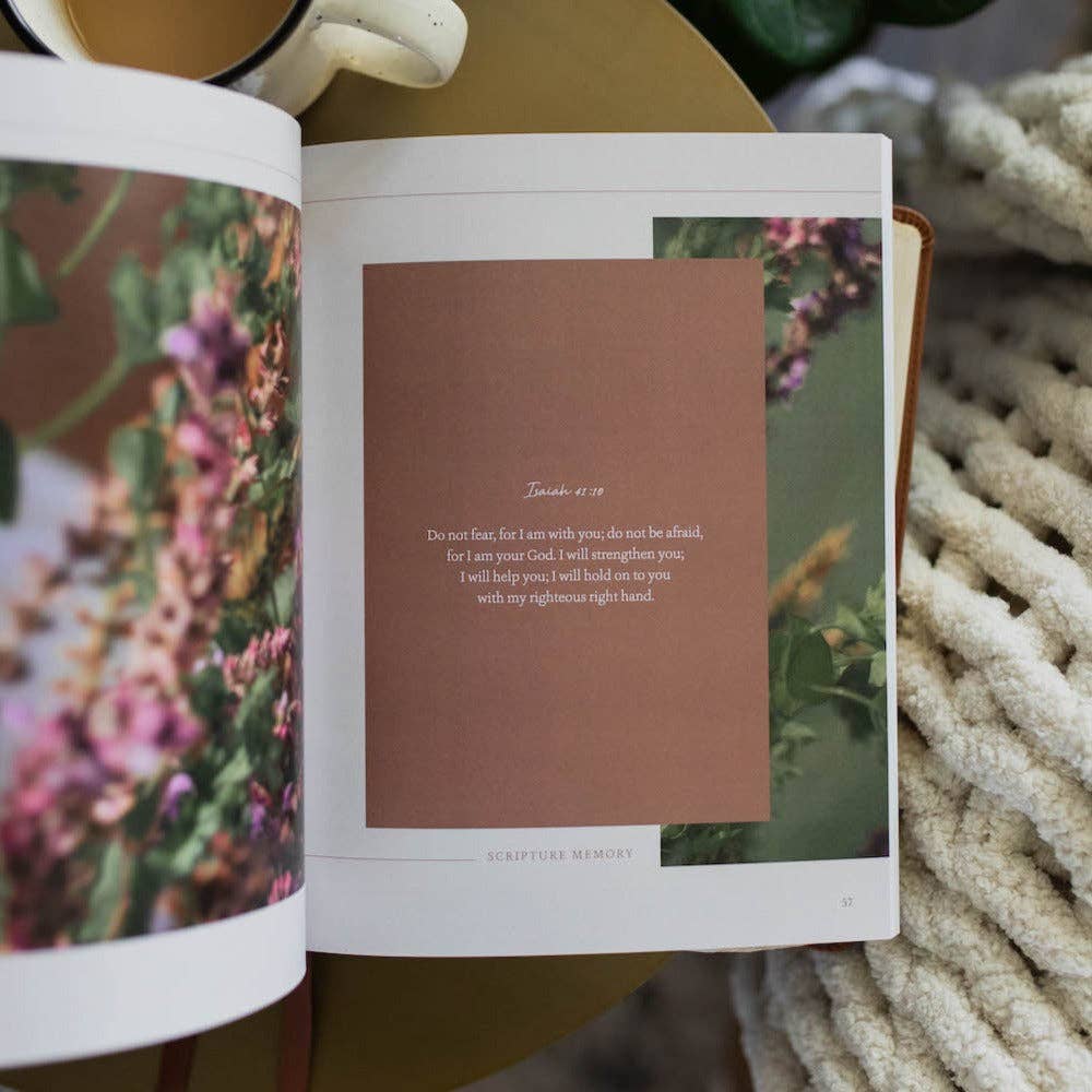 Peace for the Anxious Heart The Daily Grace Co