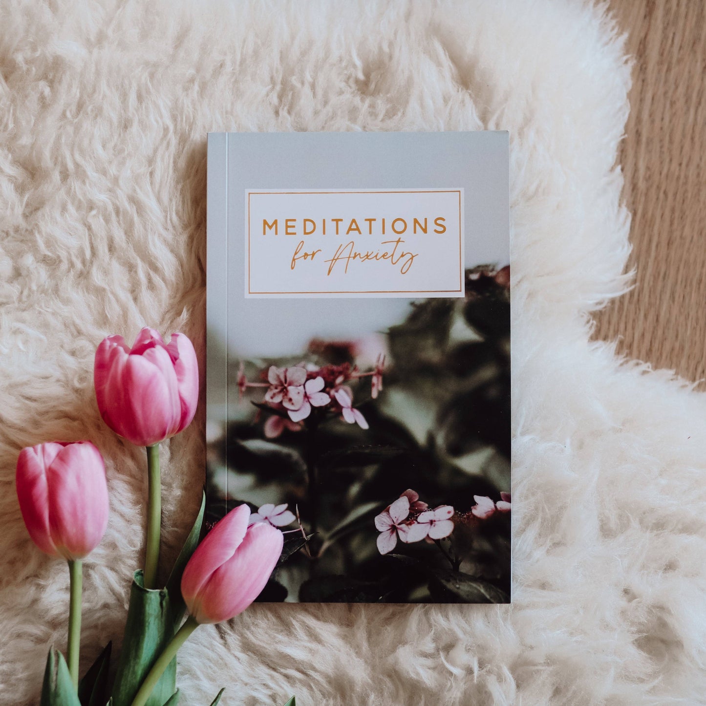 Meditations for Anxiety Booklet The Daily Grace Co