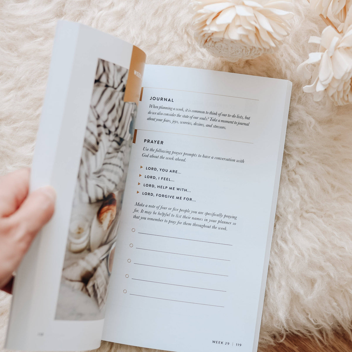 Fix Your Focus | A 52-Week Guide to Help You Put God First The Daily Grace Co