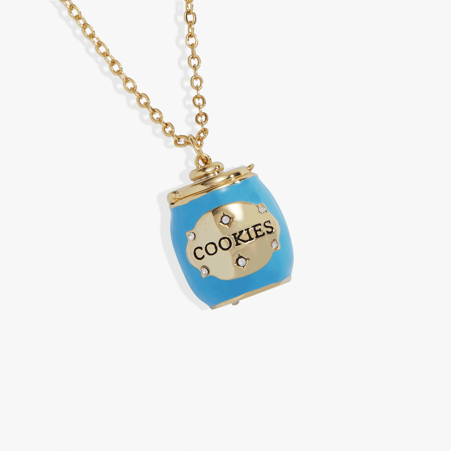 Alex & Ani Cookie Jar Locket Necklace