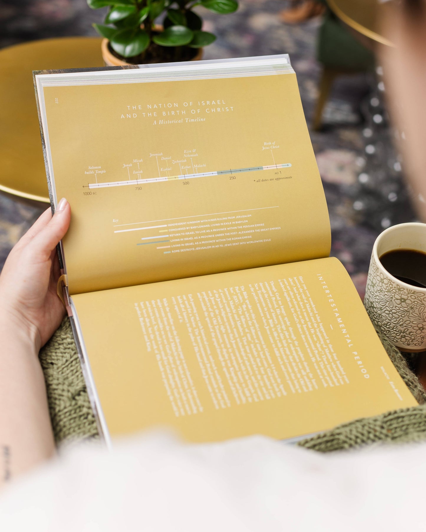 The Bible Handbook | A Book-by-Book Guide to the Entire Bible - 926 West