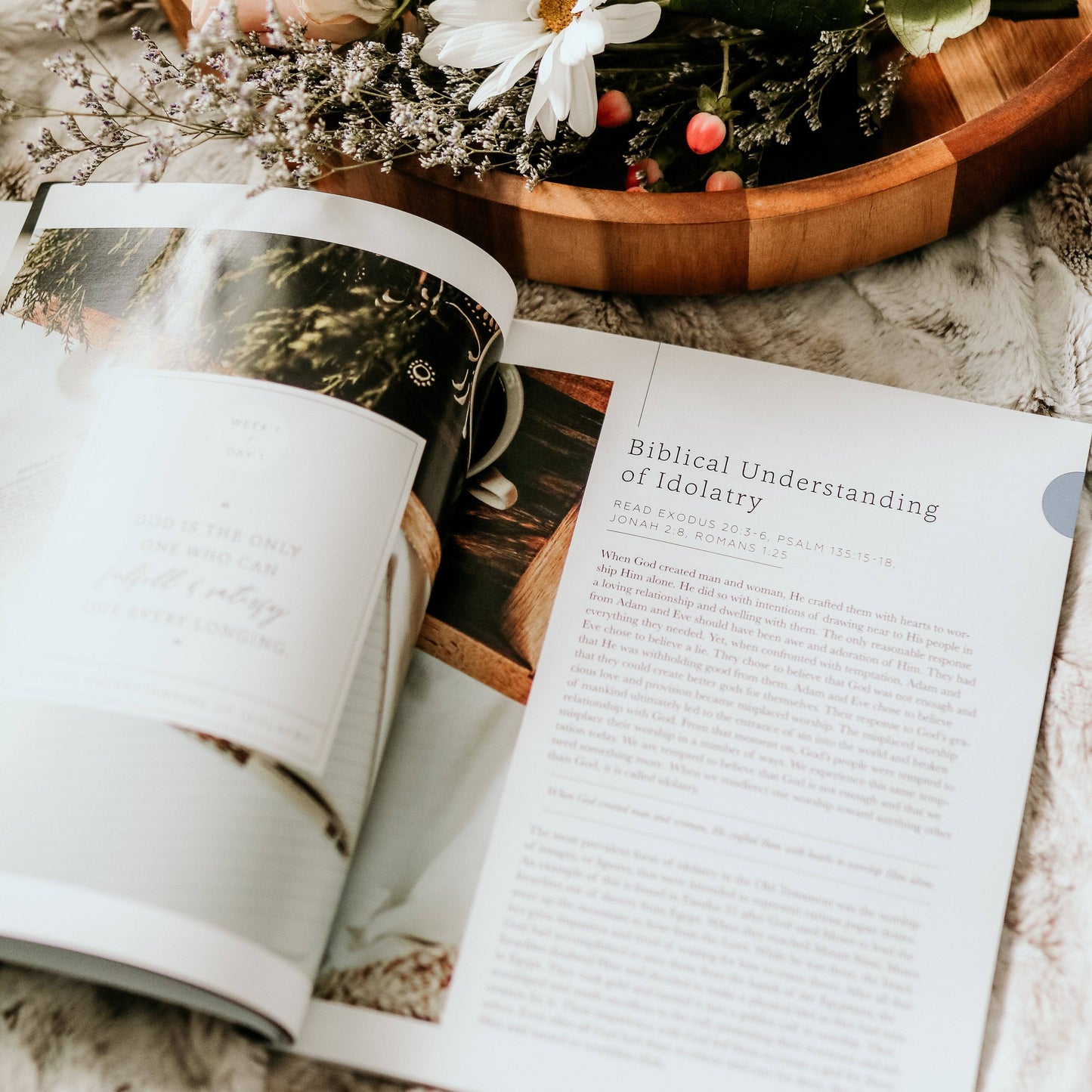 More Than Anything | 5-Week Bible Study on Idolatry - 926 West
