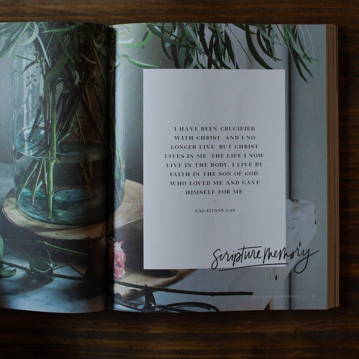 By Faith | A 6-Week Study on Galatians & Living Free in Christ - 926 West