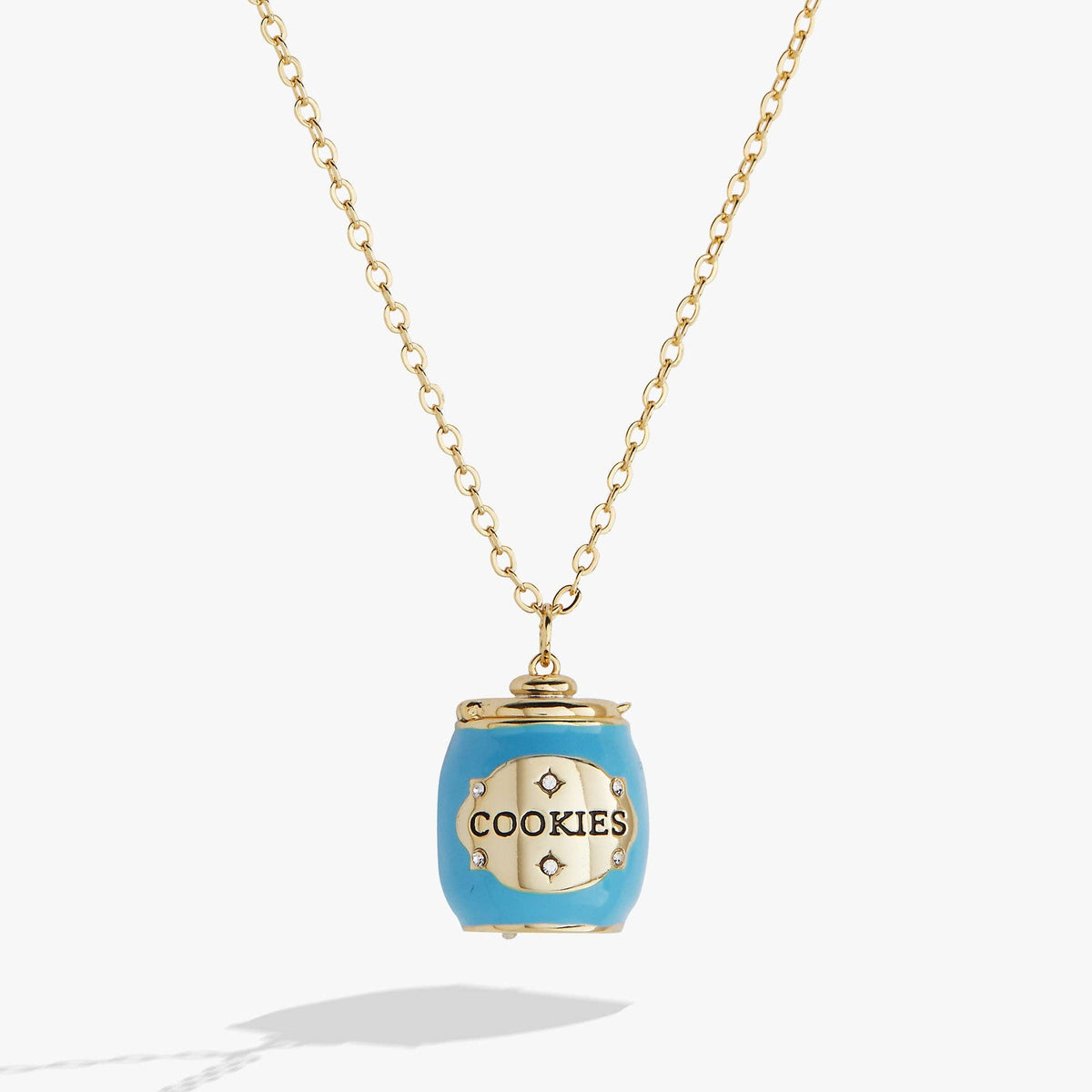 Alex & Ani Cookie Jar Locket Necklace