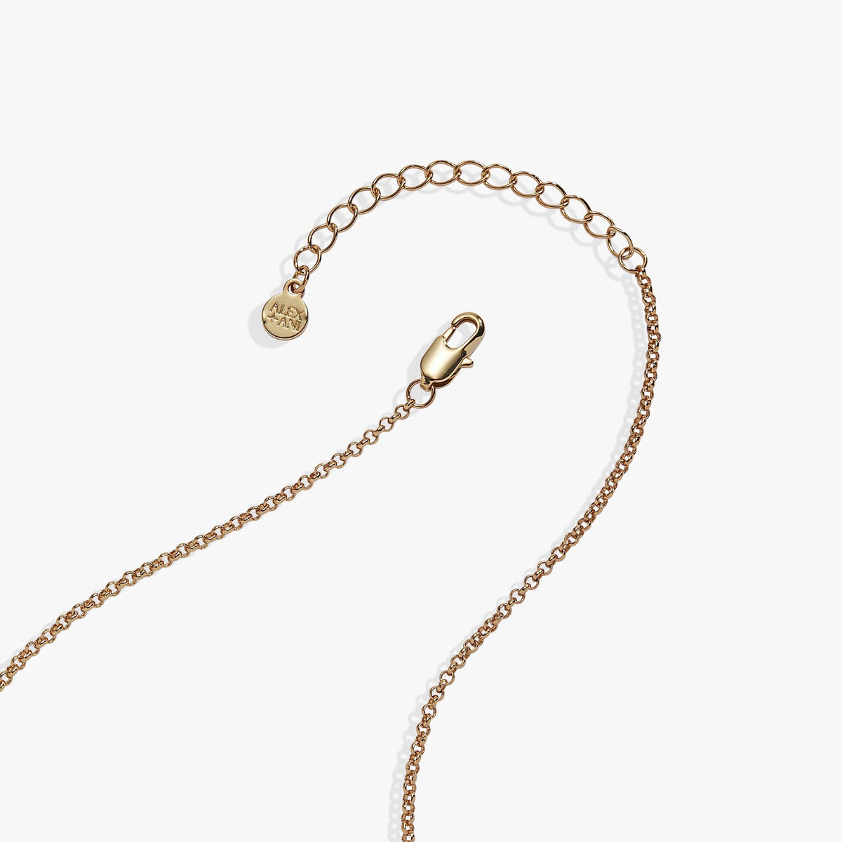 Alex & Ani 'A Reader Lives A Thousand Lives' Book Club Locket Pendant