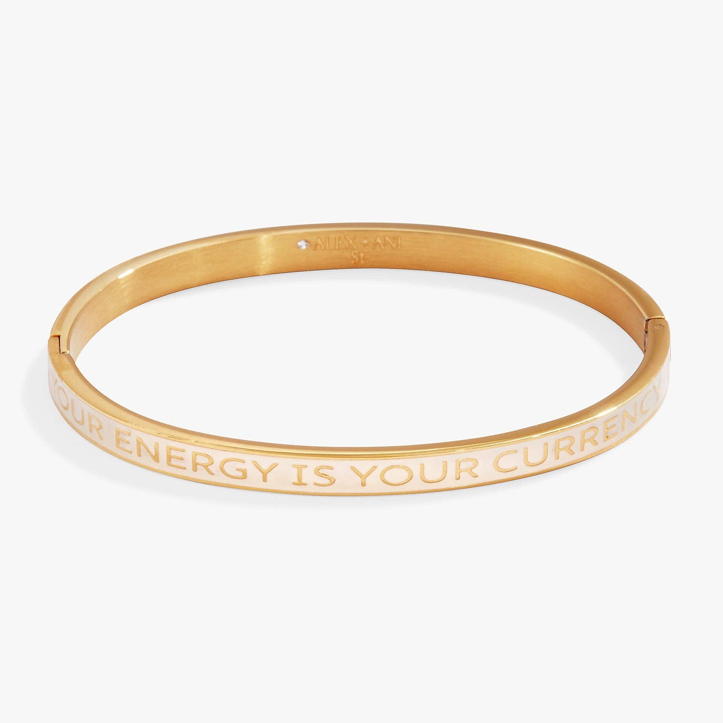 Alex + Ani- ‘Your Energy Is Your Currency' Hinge Bangle - 926 West