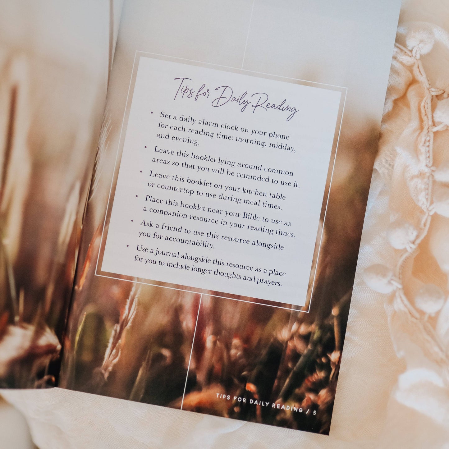 Meditations for Seasons of Waiting Booklet The Daily Grace Co