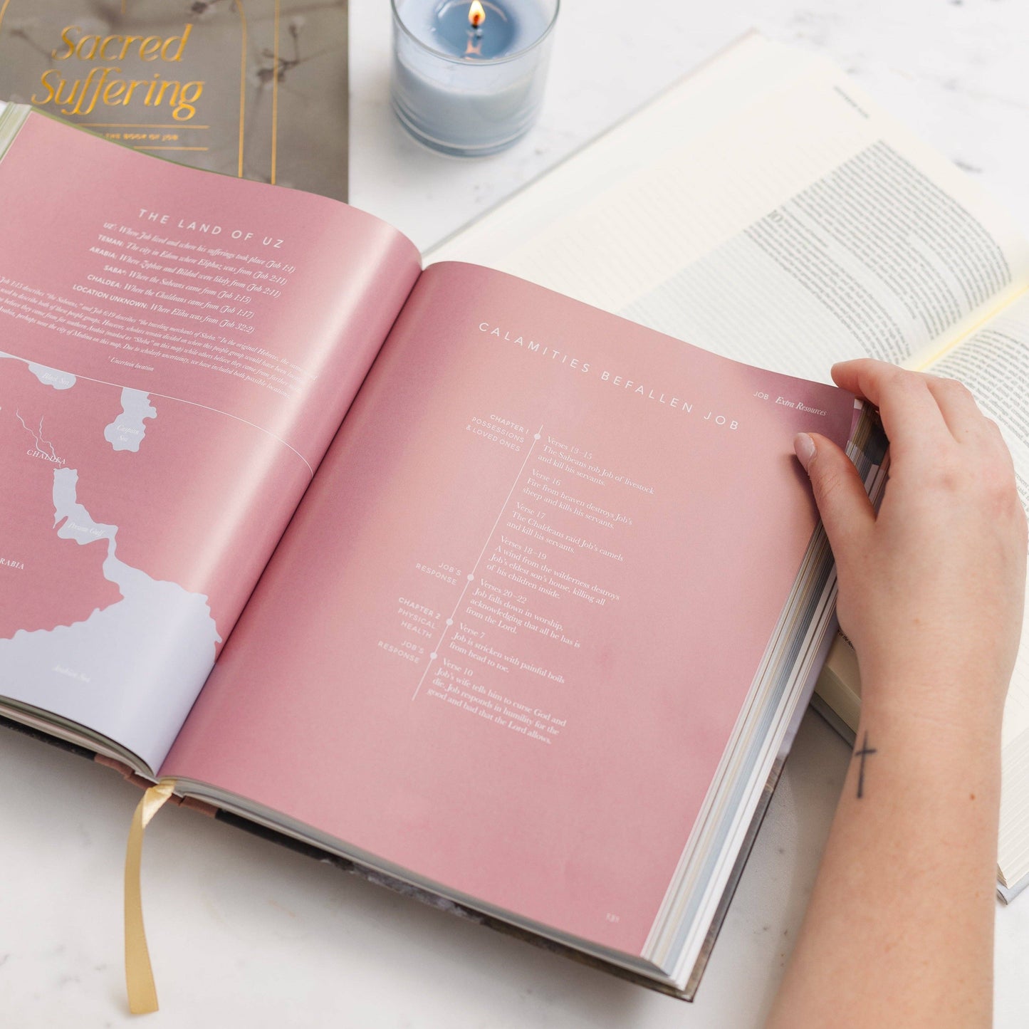 The Bible Handbook | A Book-by-Book Guide to the Entire Bible - 926 West