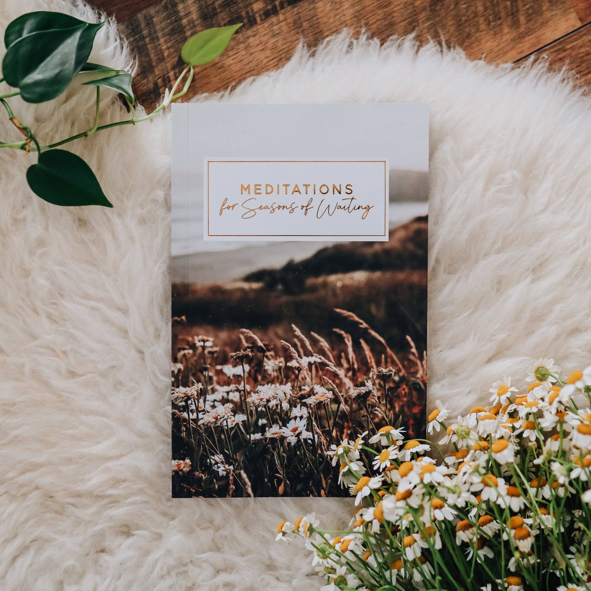 Meditations for Seasons of Waiting Booklet The Daily Grace Co