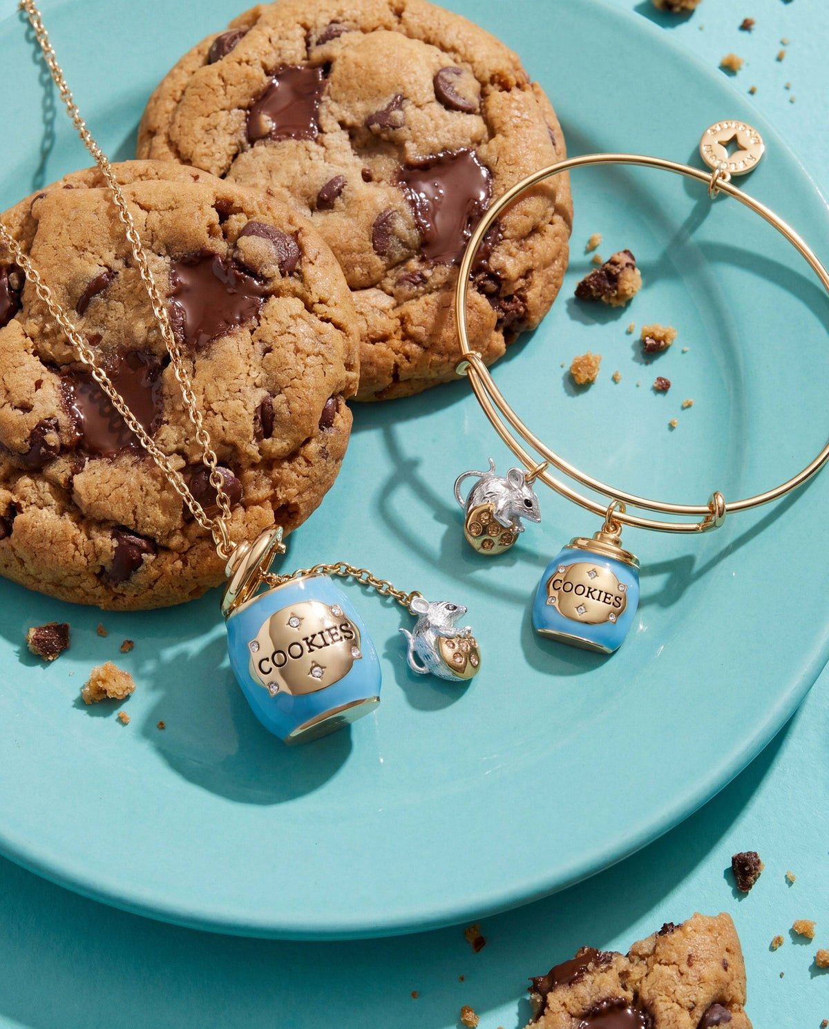 Alex & Ani Cookie Jar Locket Necklace