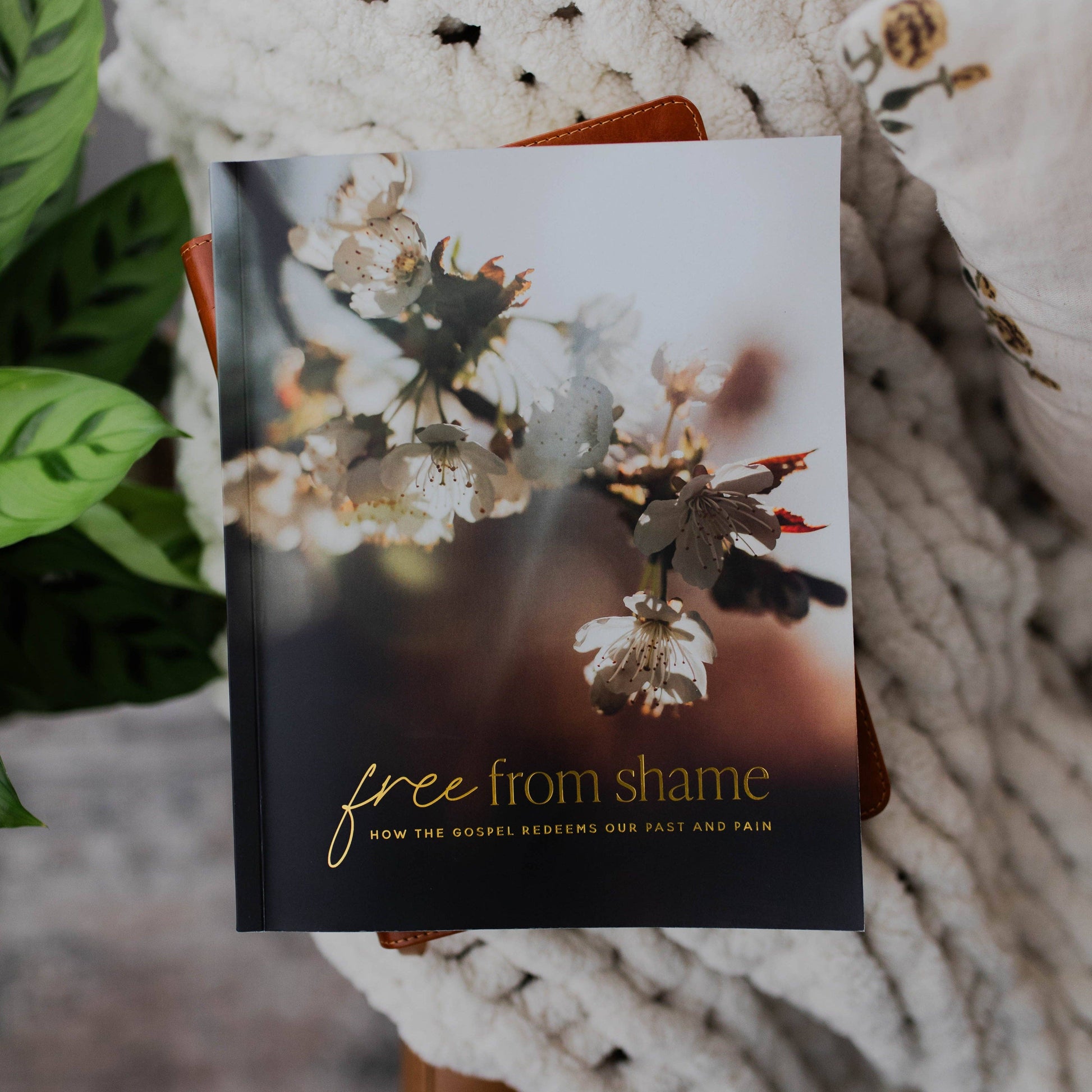 Free From Shame | A 4-Week Bible Study on How the Gospel Redeems Our Past & Pain - 926 West