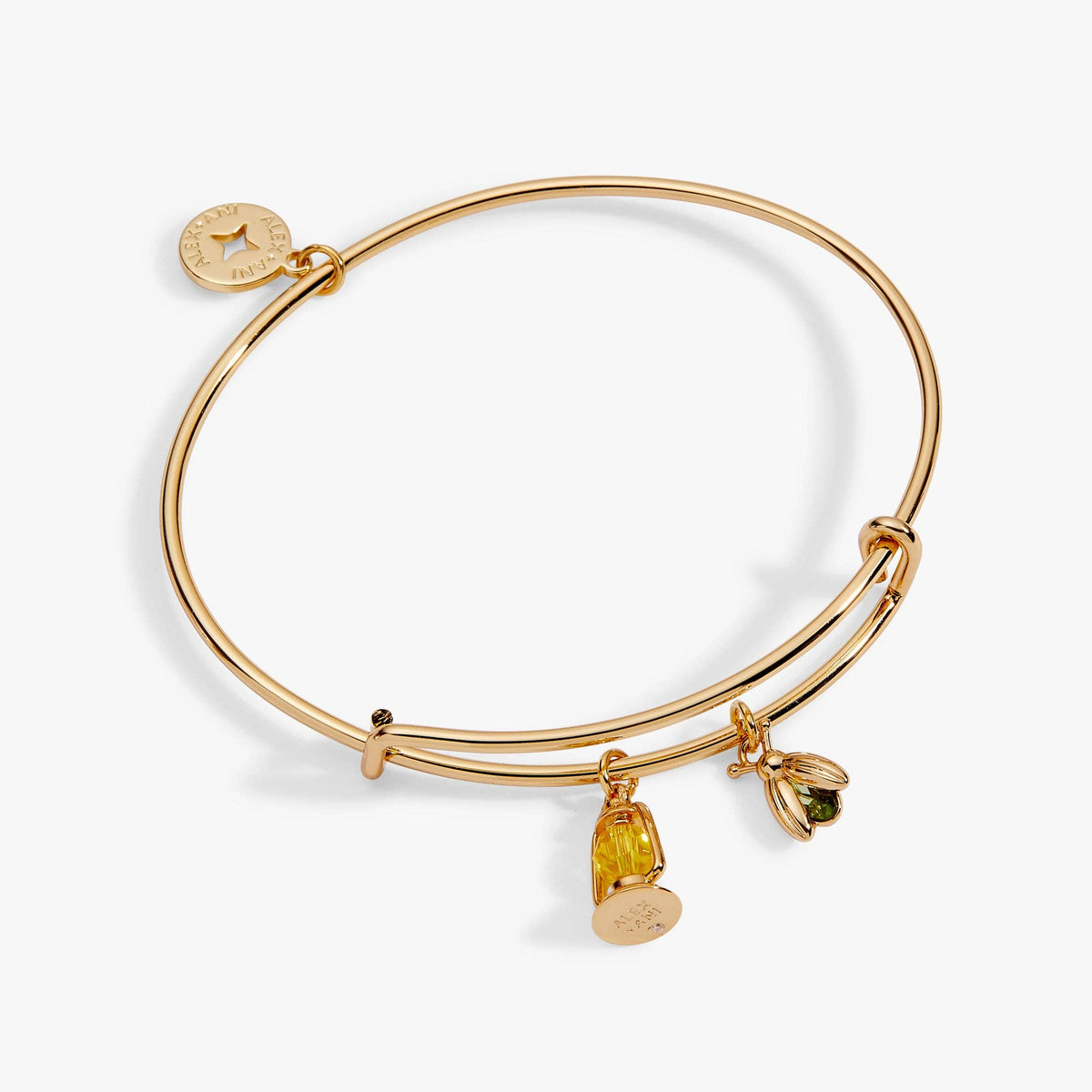 Alex & Ani Firefly Lantern Charm Bangle