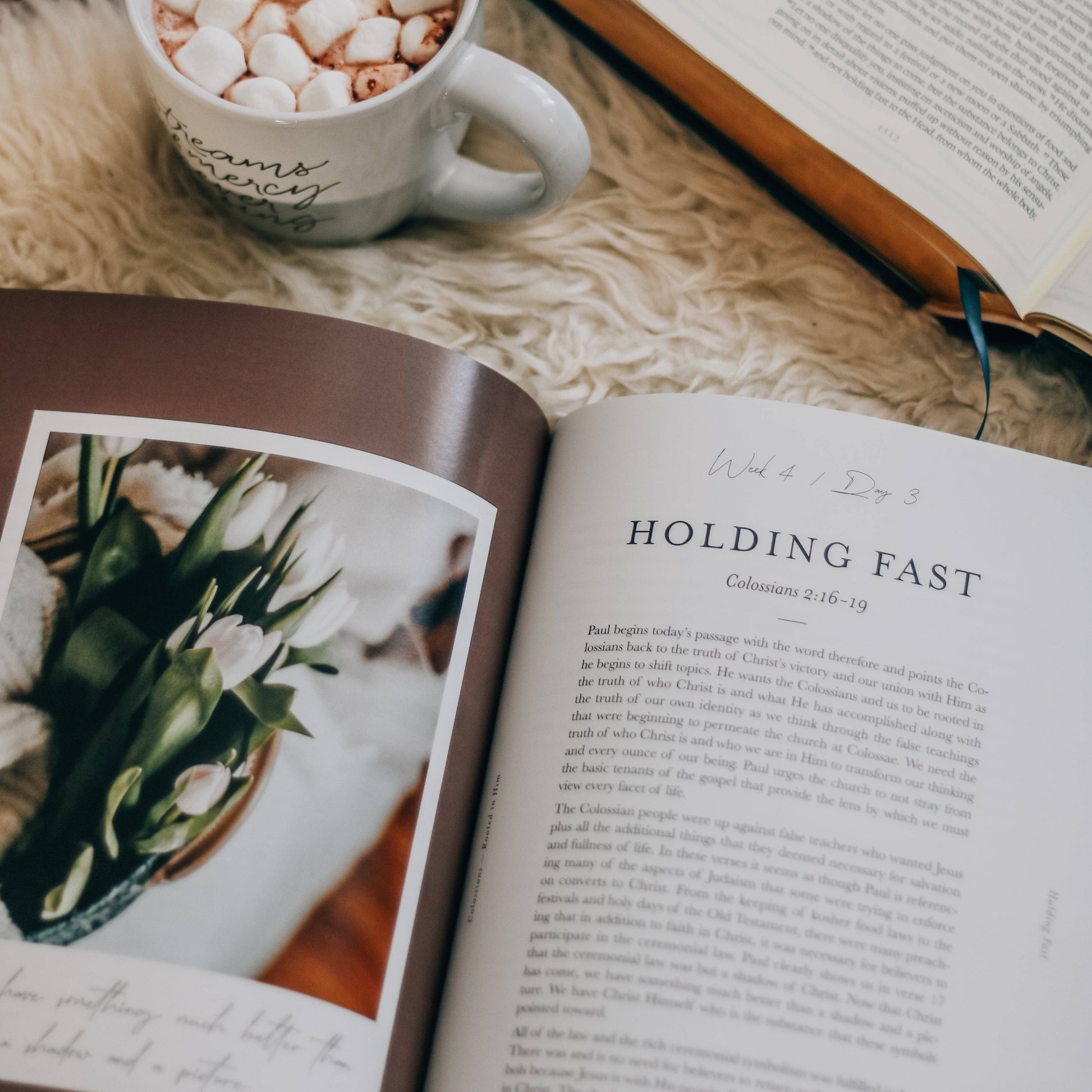 Rooted in Him | A 7-Week Study on the Book of Colossians - 926 West
