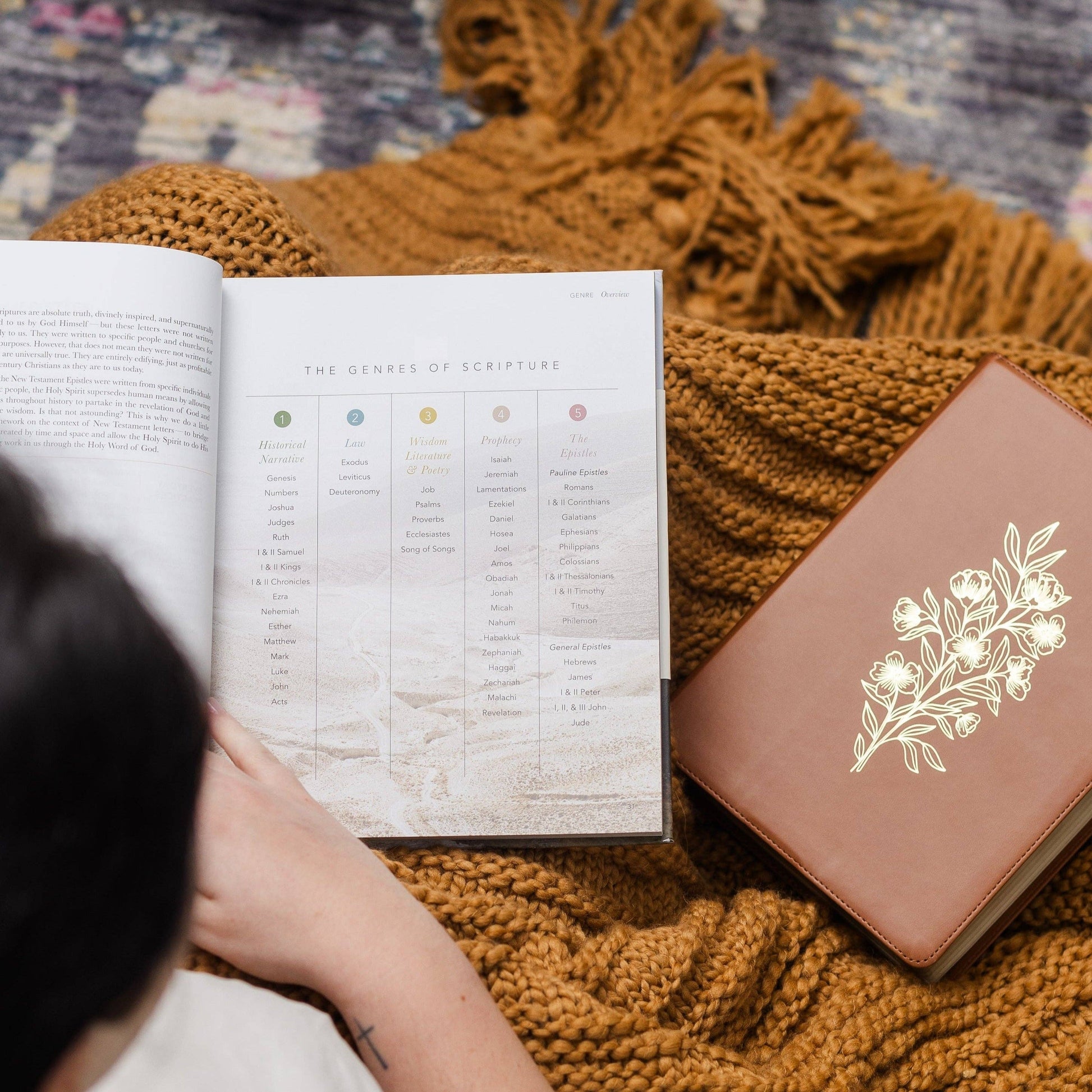 The Bible Handbook | A Book-by-Book Guide to the Entire Bible - 926 West
