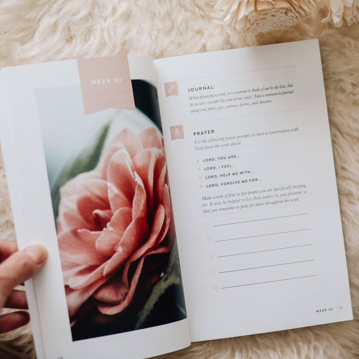 Fix Your Focus | A 52-Week Guide to Help You Put God First The Daily Grace Co