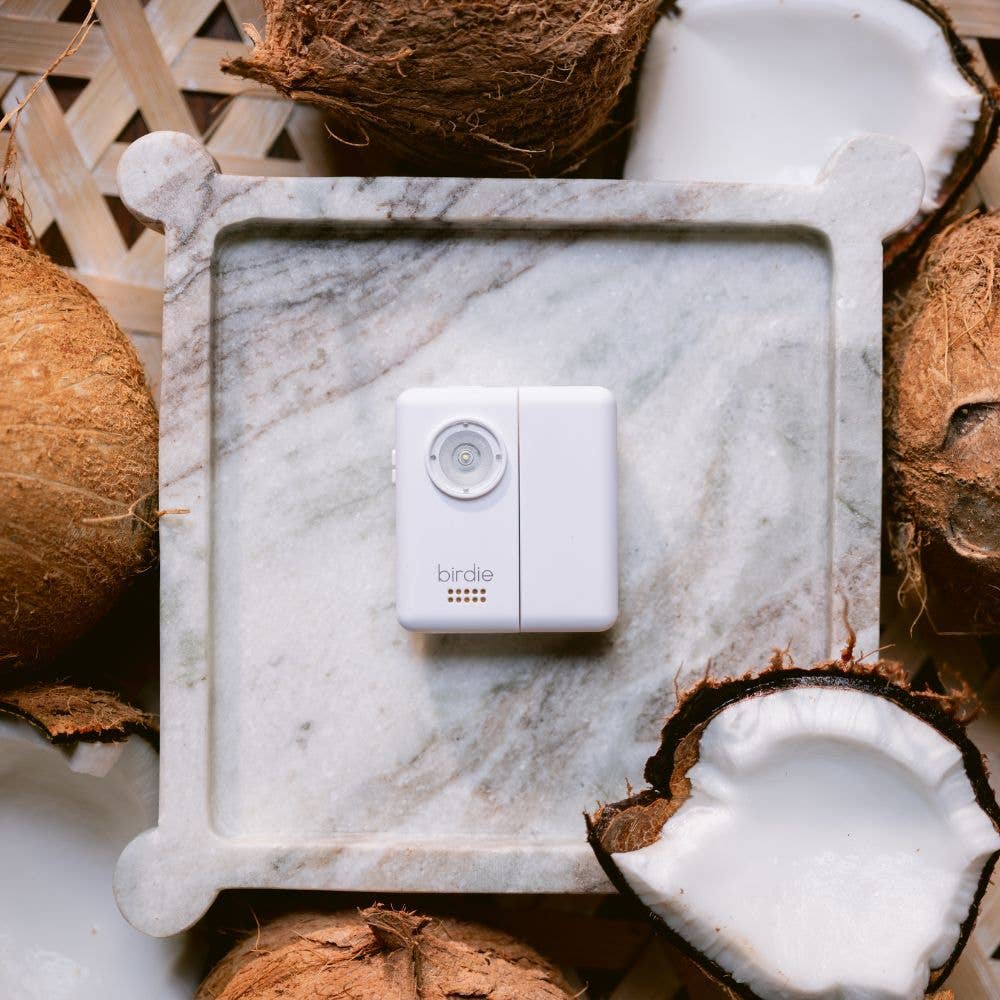 Birdie Box Portable Door Alarm for Safety - 926 West