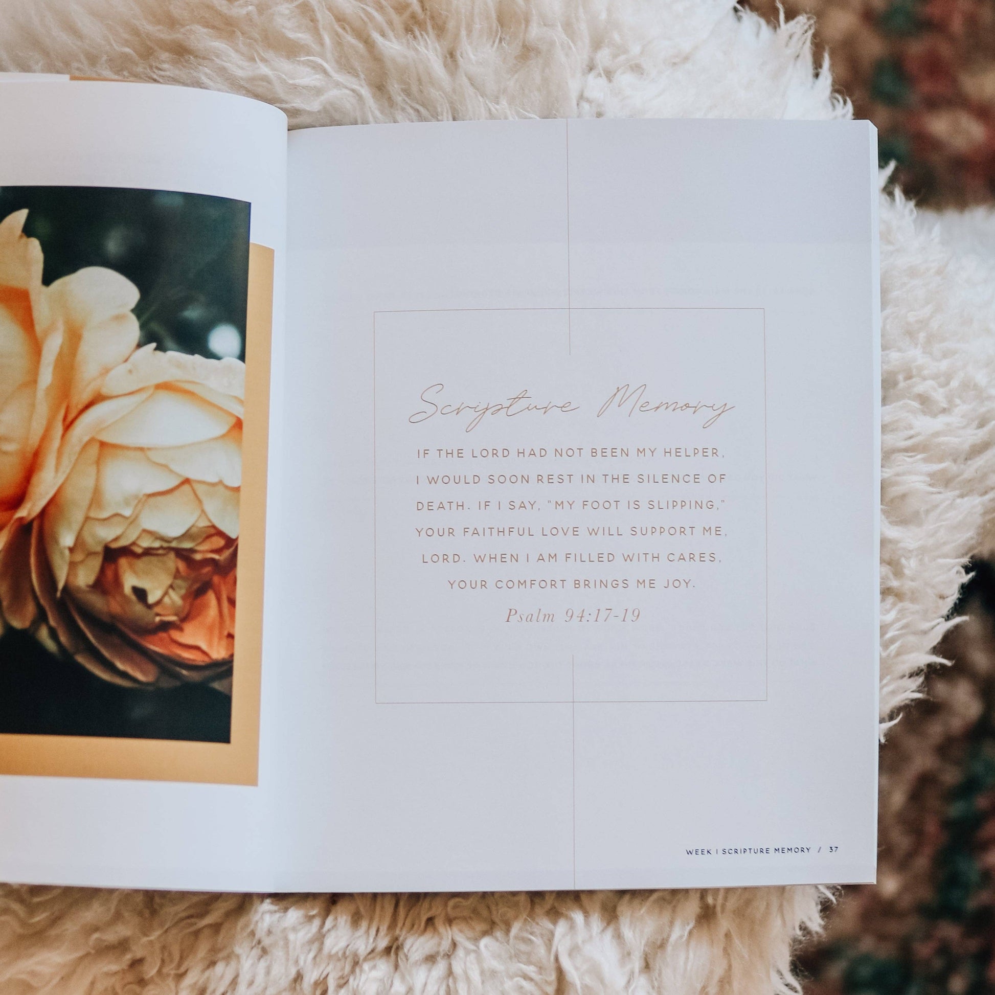 Praise | A 6-Week Bible Study Through Psalms 91–120 - 926 West