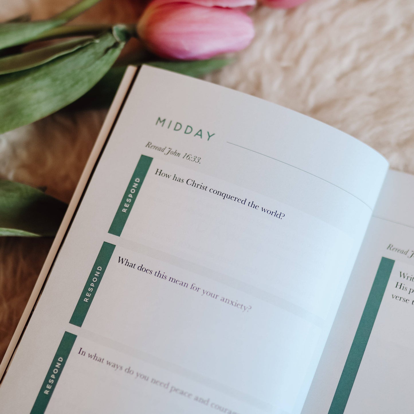 Meditations for Anxiety Booklet The Daily Grace Co