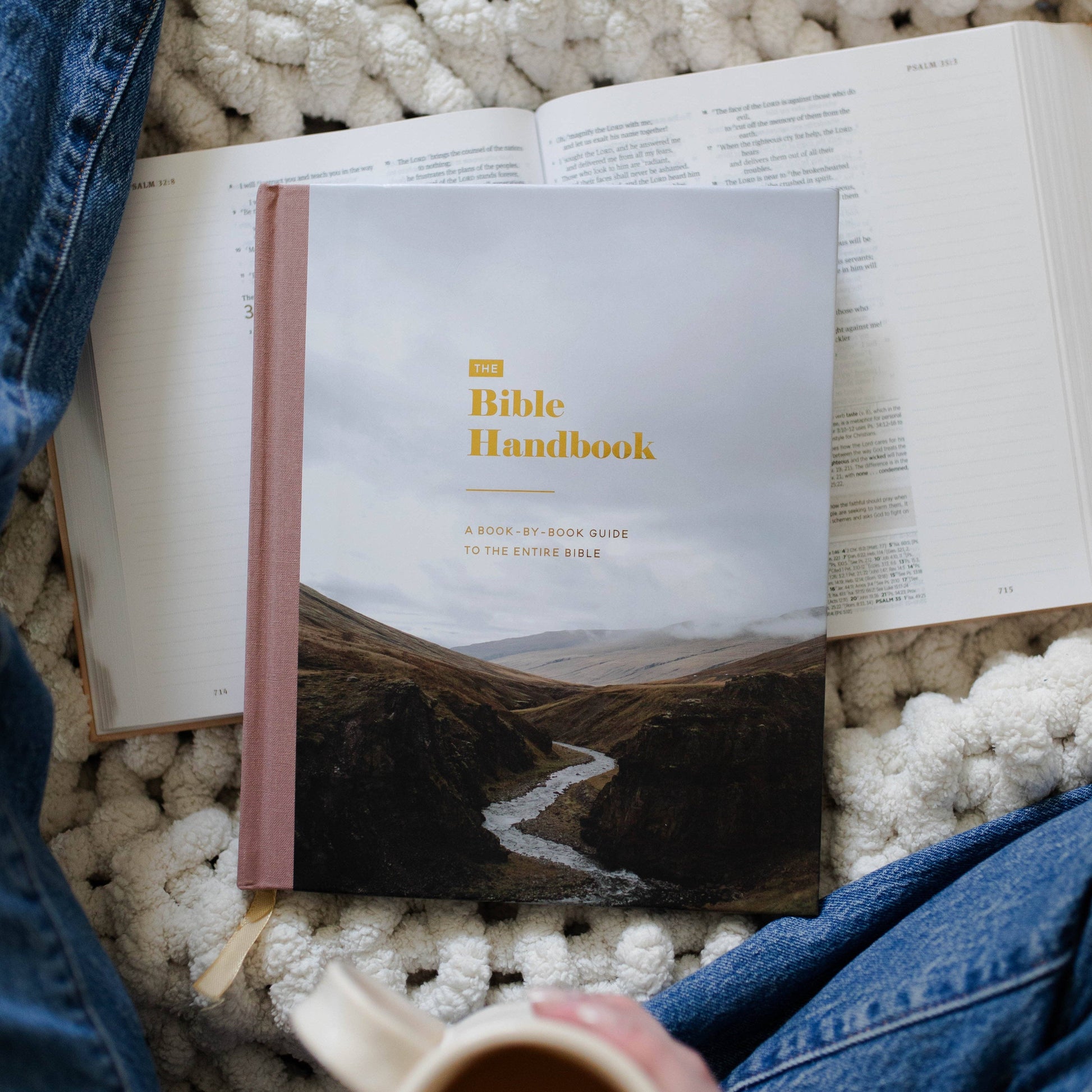 The Bible Handbook | A Book-by-Book Guide to the Entire Bible - 926 West
