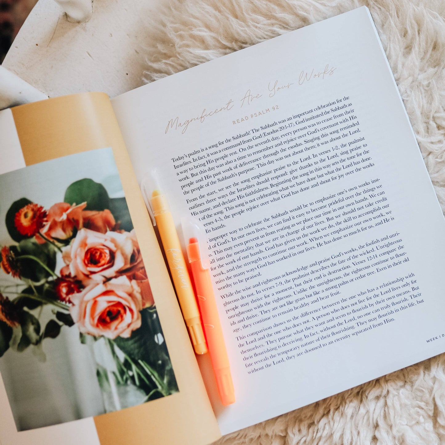 Praise | A 6-Week Bible Study Through Psalms 91–120 - 926 West