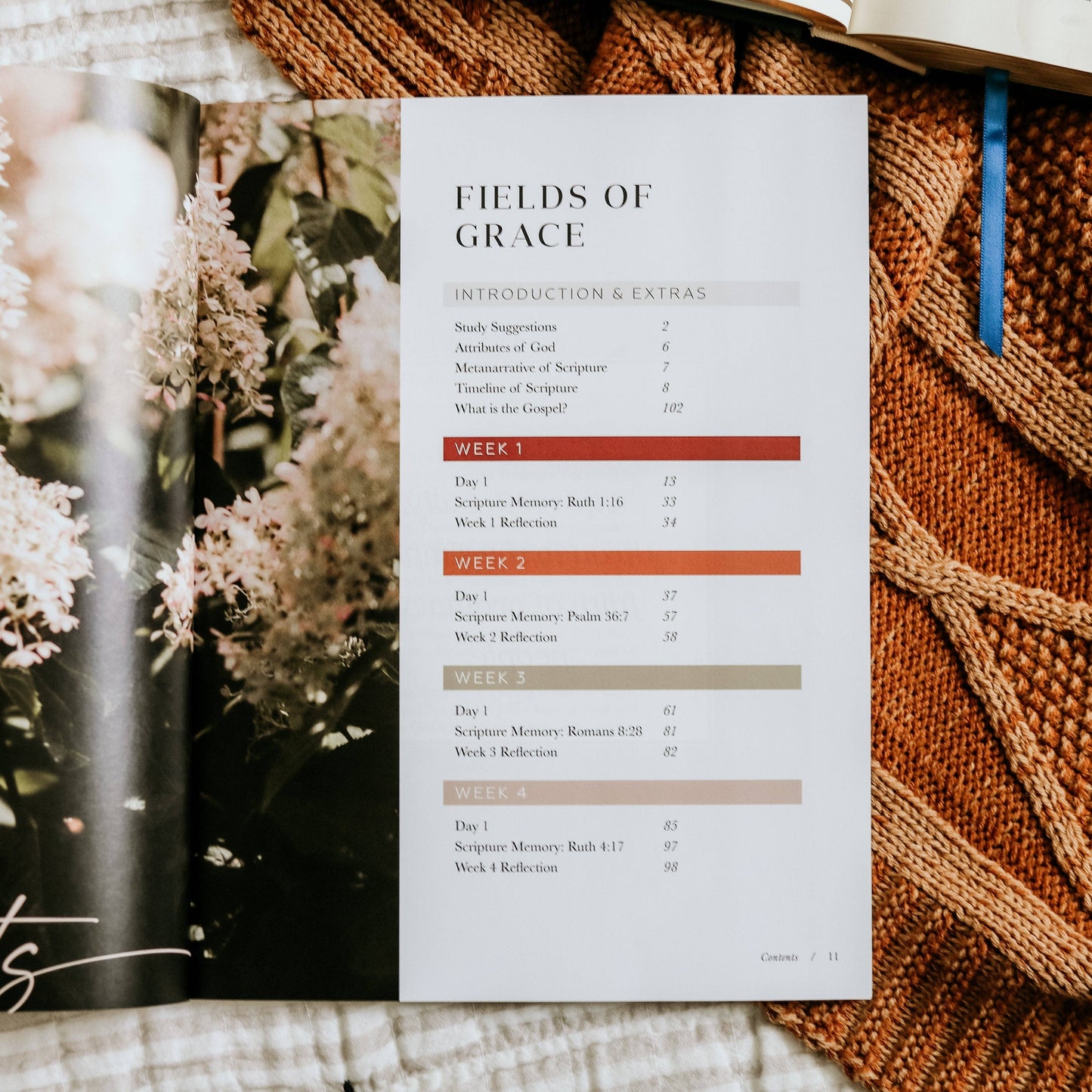 Ruth Study | Fields of Grace The Daily Grace Co