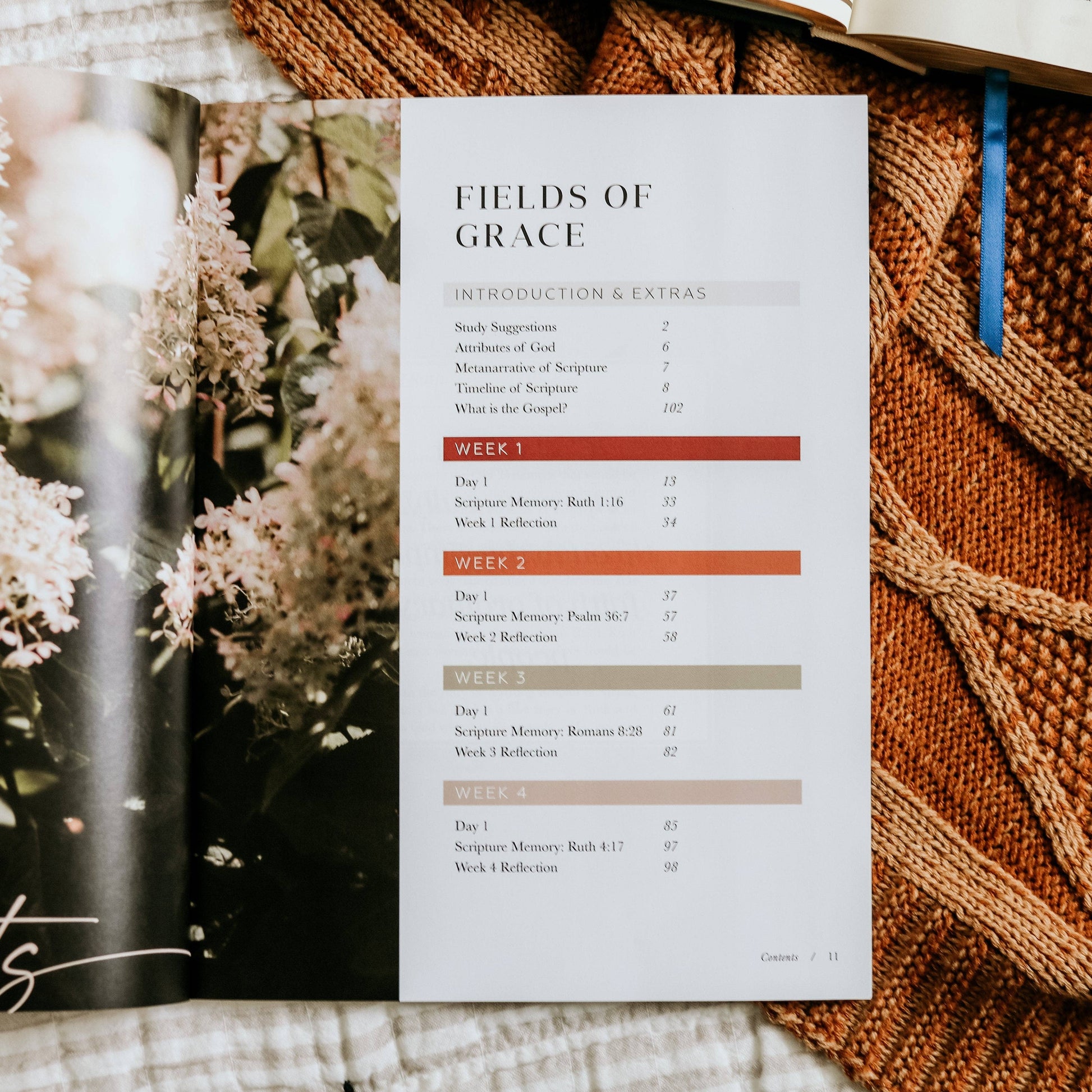 Ruth Study | Fields of Grace The Daily Grace Co