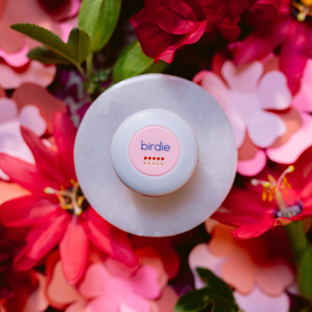 Birdie Disc Portable Clip-on Personal Safety - 926 West